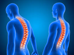 Best Spine Specialist In Wardha