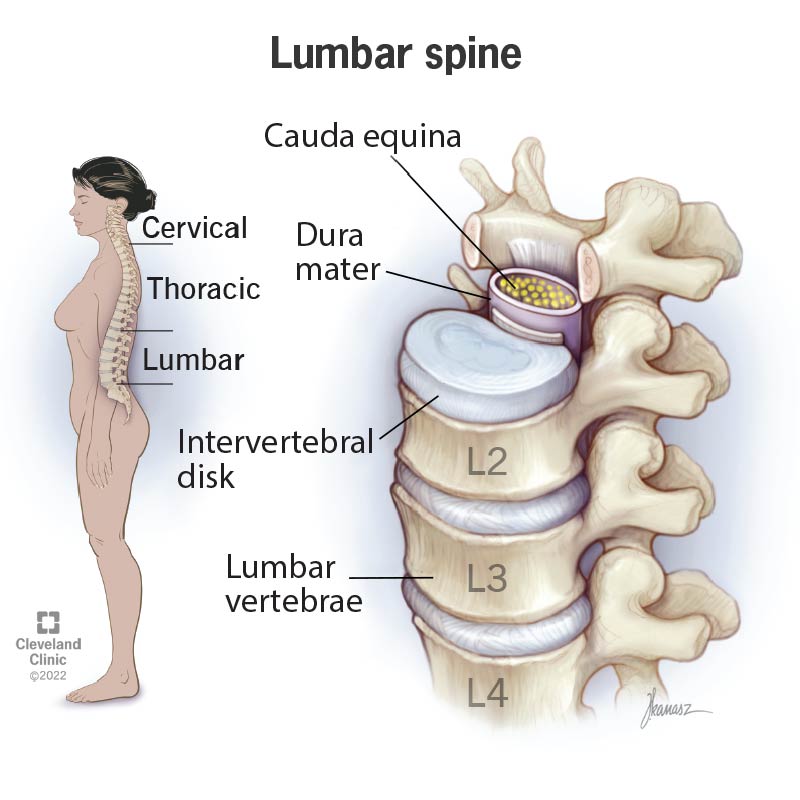 Lumbar Spine Specialist In Nagpur