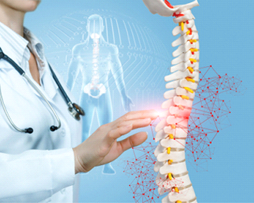 Spine Care Specialist In Nagpur