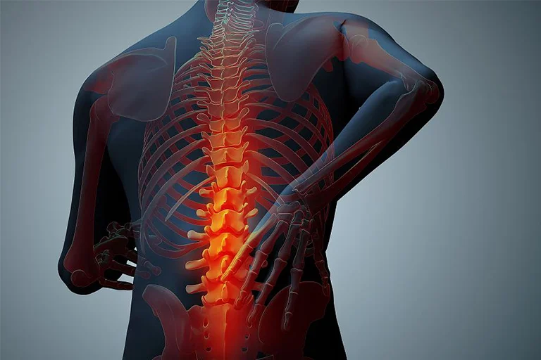 Spine Surgery Endoscopic In Rajnandgao