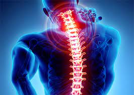 Spine Specialist In Bijapur