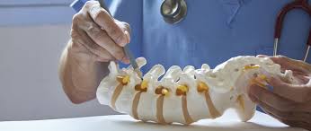 Top 3 Spine Surgeon In Rajnandgaon
