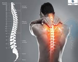 Top 5 Orthopedic Spine Surgeon In Wardha