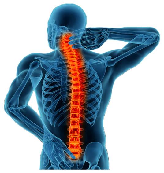 Best Spine Doctor In Rajnandgao